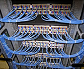 cat5 cabling